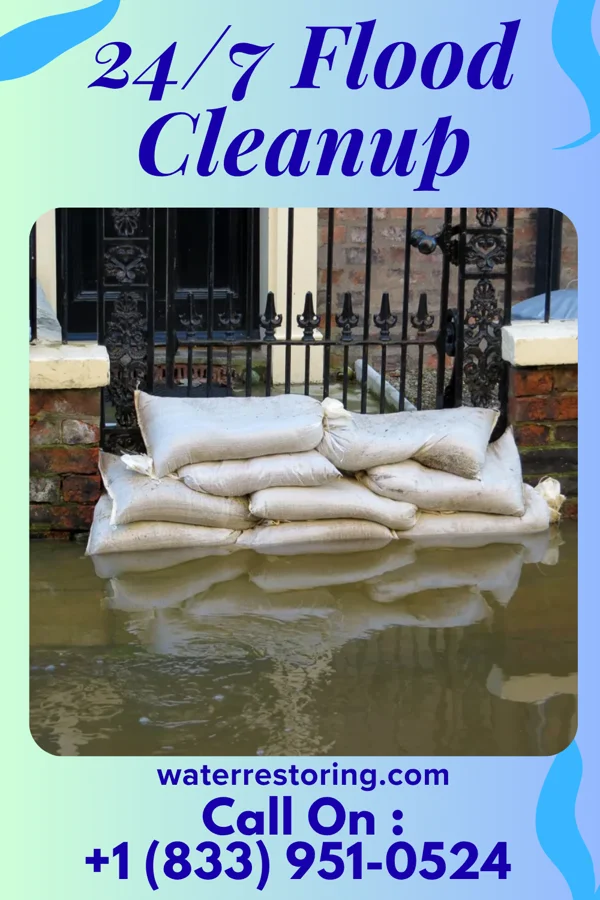 24/7 Flood Cleanup in Silver Peak, NV