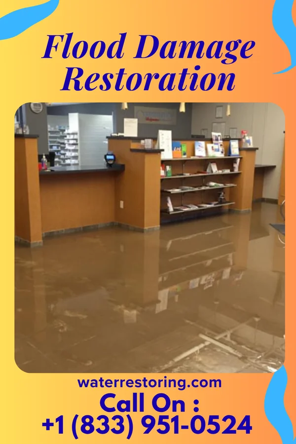 Flood Damage Restoration in Silver Peak, NV
